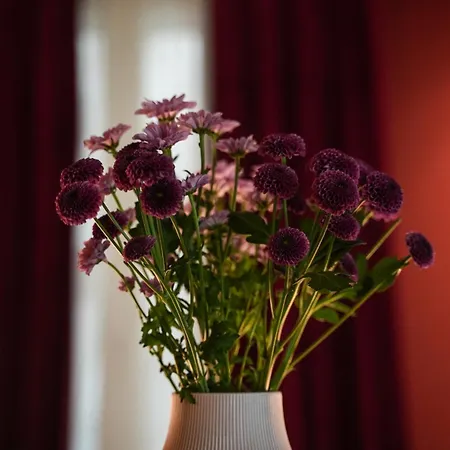 Sant'eufemia 30 Bed and Breakfast Μόντενα